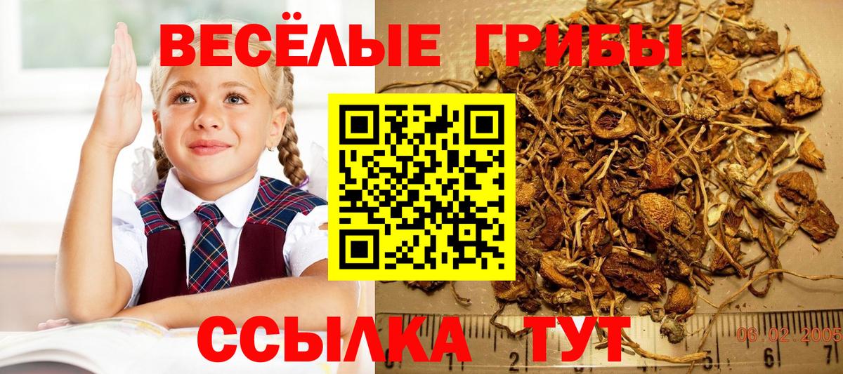 Галлюциногенные грибы GOLDEN TEACHER Ступино