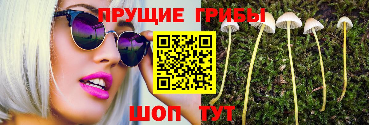 Псилоцибиновые грибы Cubensis  Вход с VPN  Ступино  Галлюциногенные грибы Cubensis 